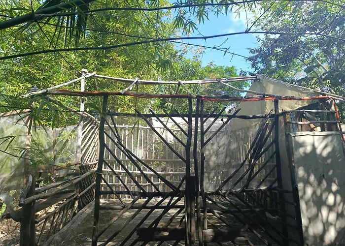 Camping Space For Your Tent Tulum
